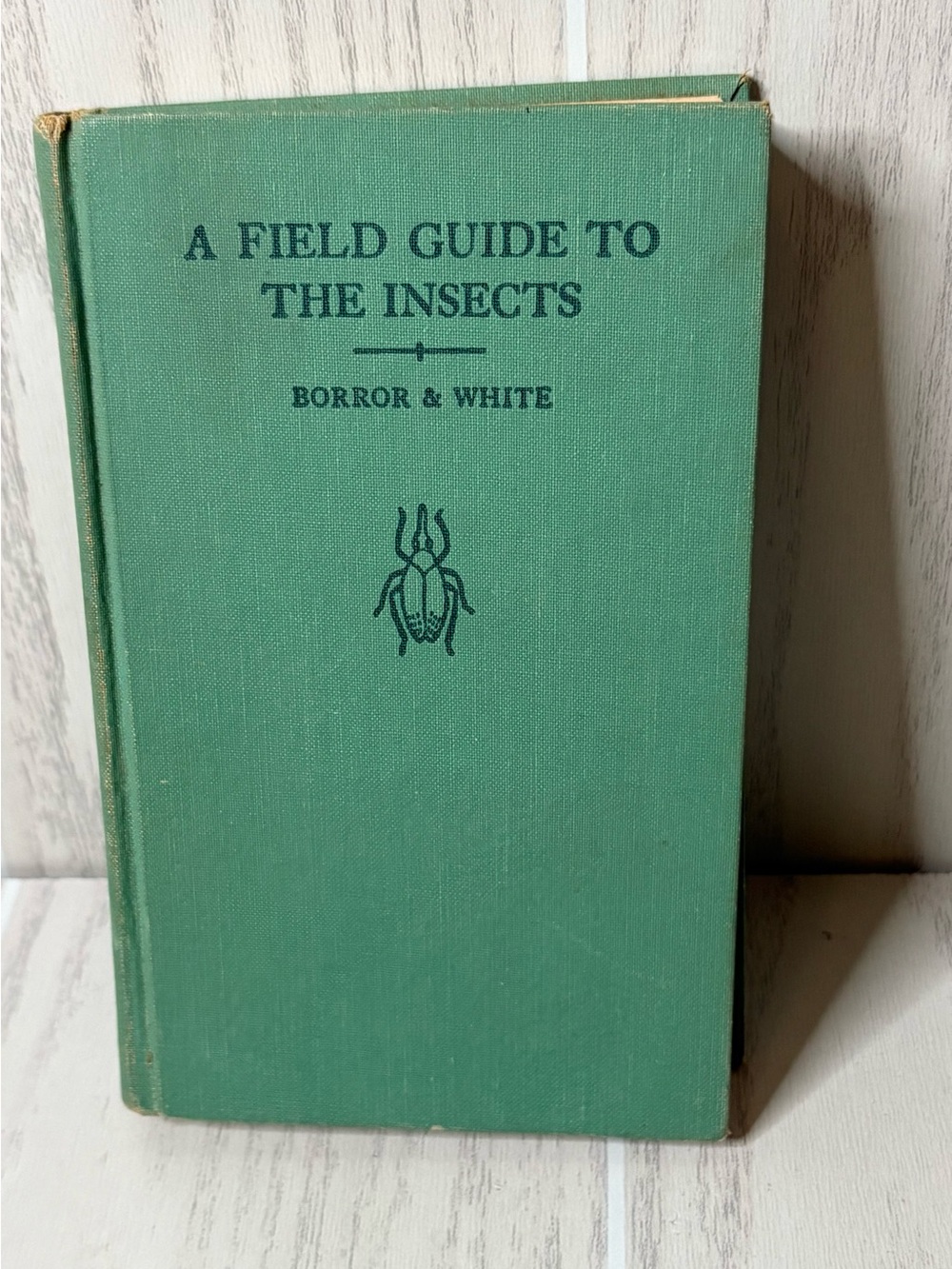 A Field Guide to the Insects Vintage 1970 Book Homeschool Cottagecore